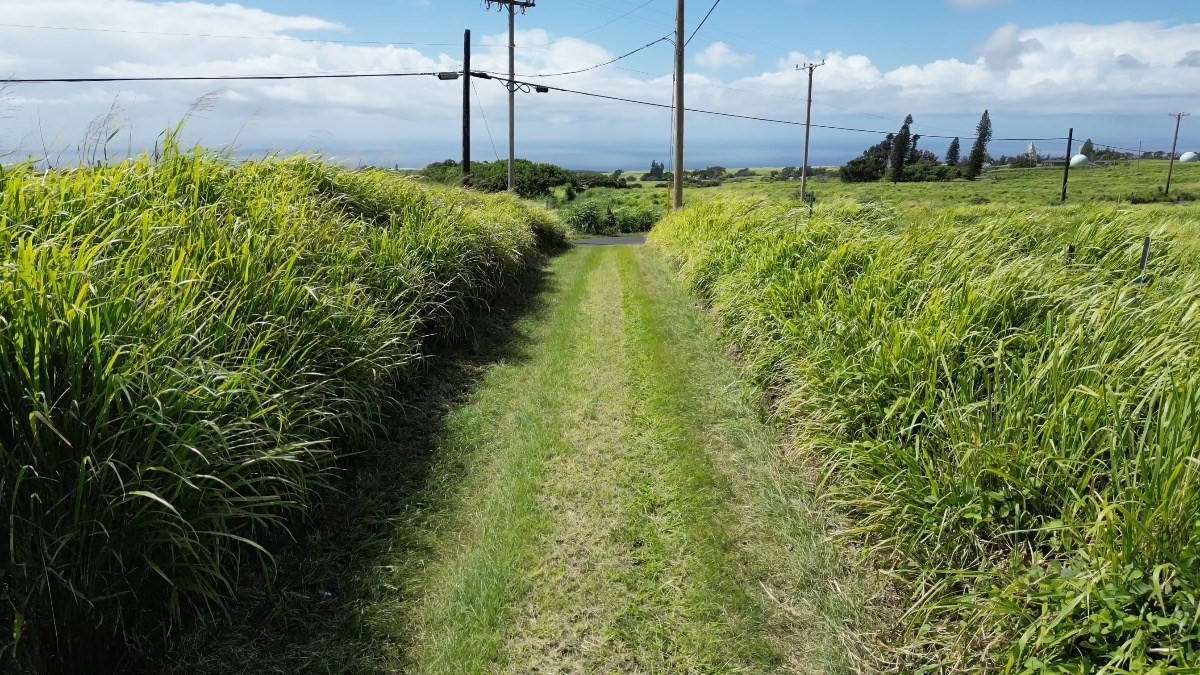 93-1775 Lot 3 South Point Road Captain Cook, HI 96704 - Photo 12 of 16 Gallery Image 12