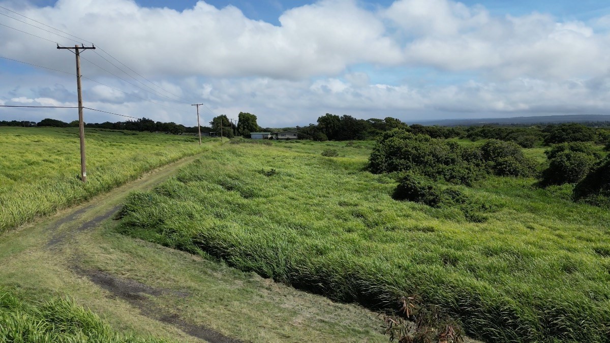 93-1775 Lot 3 South Point Road Captain Cook, HI 96704 - Photo 13 of 16 Gallery Image 13