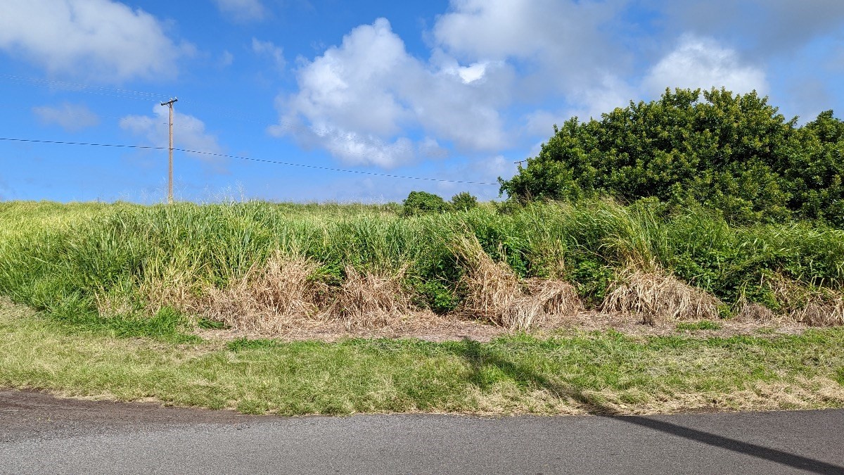 93-1775 Lot 3 South Point Road Captain Cook, HI 96704 - Photo 14 of 16 Gallery Image 14