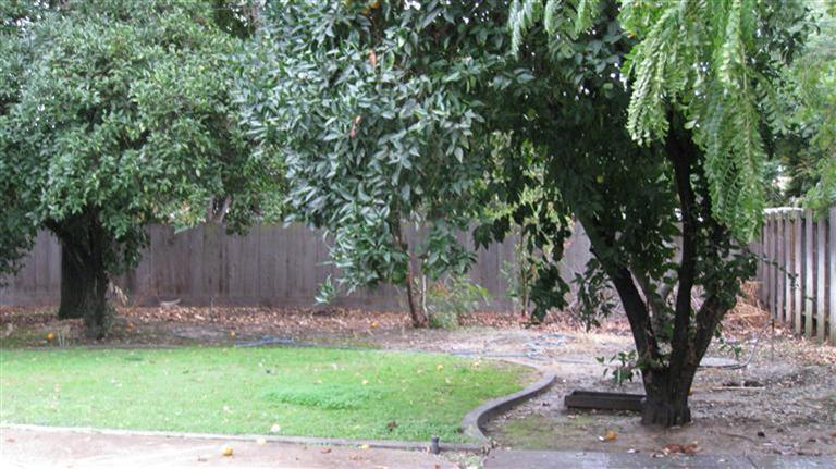 981 West Flora Avenue Reedley, CA 93654 - Photo 4 of 11 Gallery Image 4