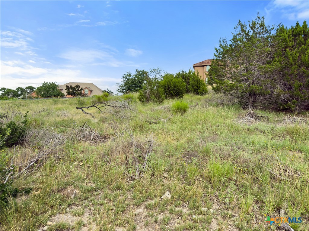 128 Enigma Avenue Spring Branch, TX 78070 - Photo 11 of 23 a view of a field of grass and trees