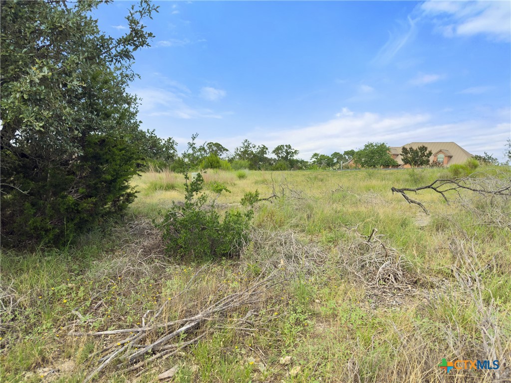 128 Enigma Avenue Spring Branch, TX 78070 - Photo 12 of 23 a view of lake with mountain view