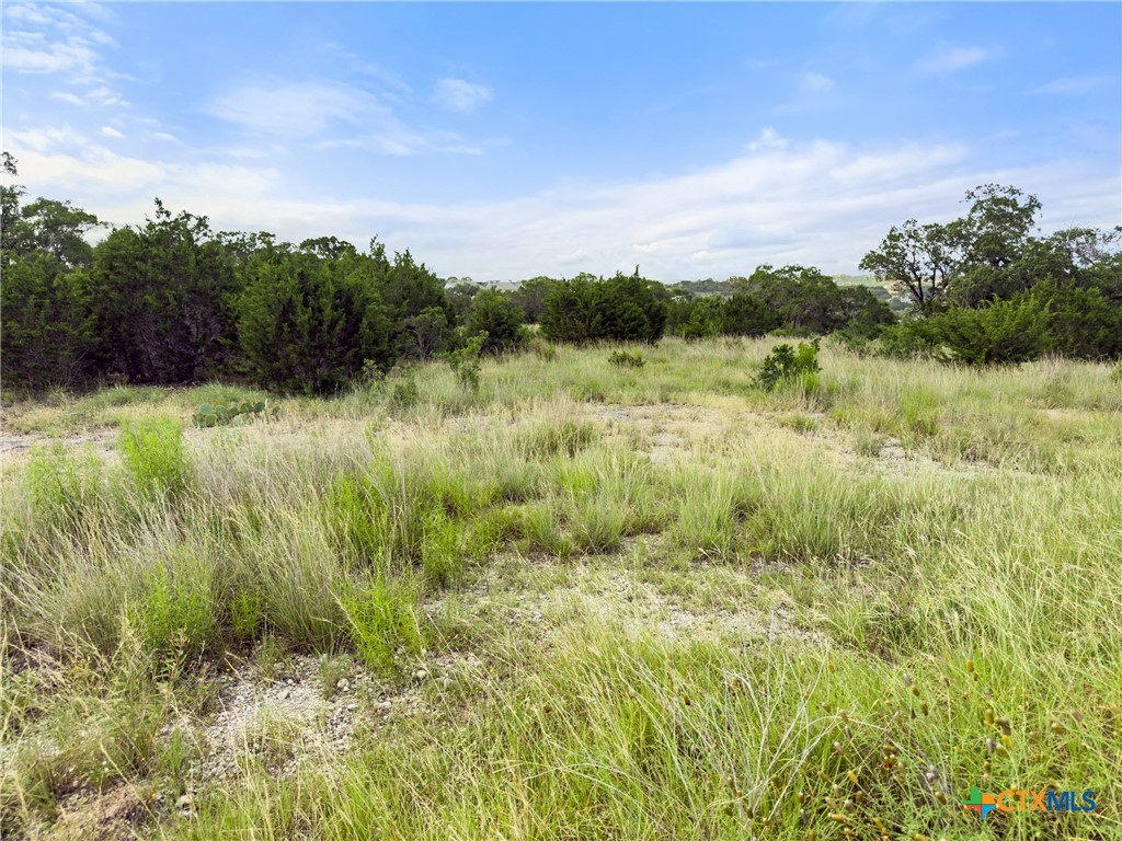 128 Enigma Avenue Spring Branch, TX 78070 - Photo 13 of 23 a view of a garden