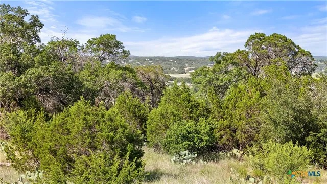a view of a large yard with lots of green space