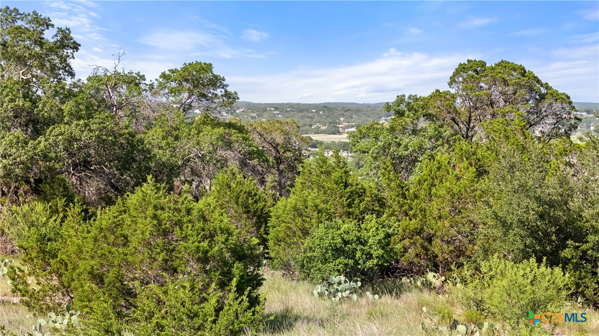 128 Enigma Avenue Spring Branch, TX 78070 - Photo 2 of 23 a view of a large yard with lots of green space