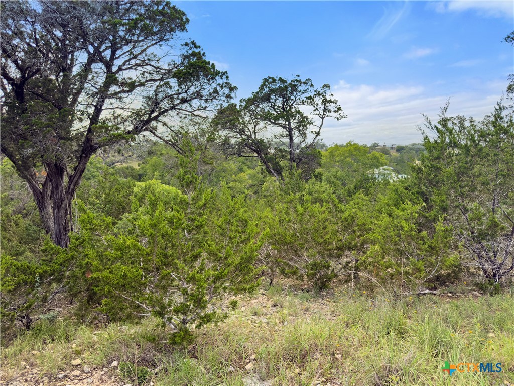 128 Enigma Avenue Spring Branch, TX 78070 - Photo 4 of 23 a view of a bunch of trees and bushes