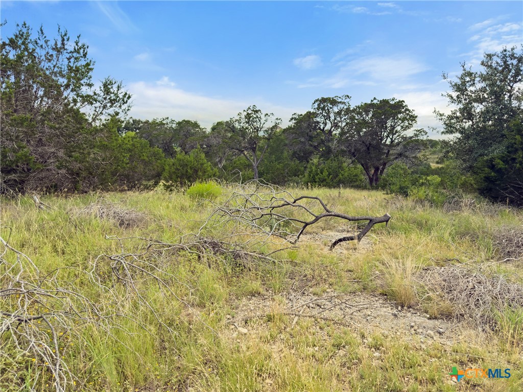 128 Enigma Avenue Spring Branch, TX 78070 - Photo 6 of 23 a view of a yard with an tree