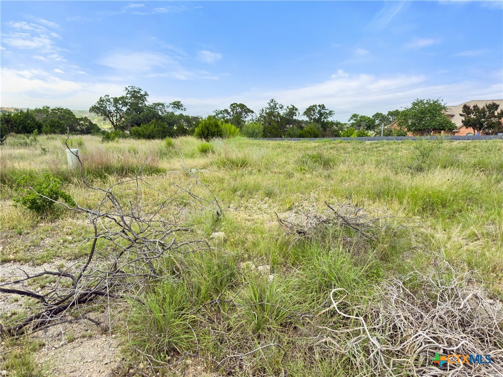 128 Enigma Avenue Spring Branch, TX 78070 - Photo 7 of 23 a view of a lake with houses in the back