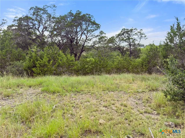 a view of a lake with a yard