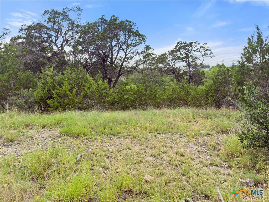 128 Enigma Avenue Spring Branch, TX 78070 - Photo 8 of 23 a view of a lake with a yard
