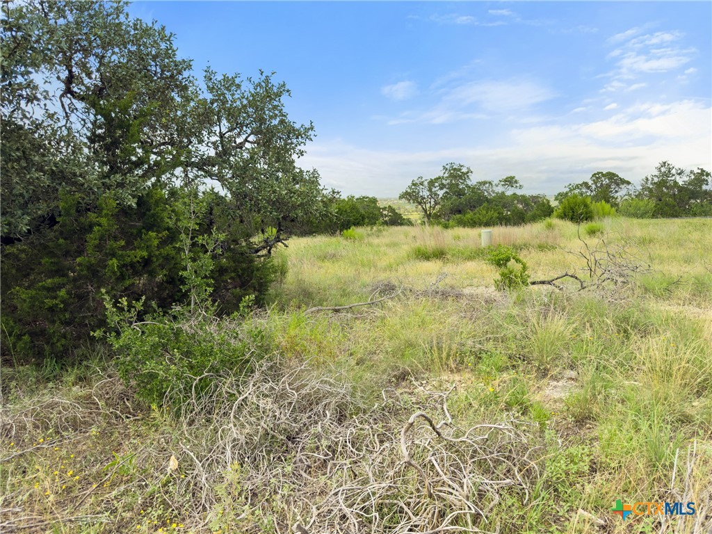 128 Enigma Avenue Spring Branch, TX 78070 - Photo 10 of 23 a view of lake with green space