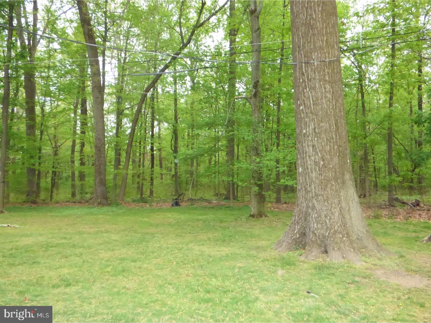 4840 Harrison Road Doylestown, PA 18902 - Photo 23 of 24