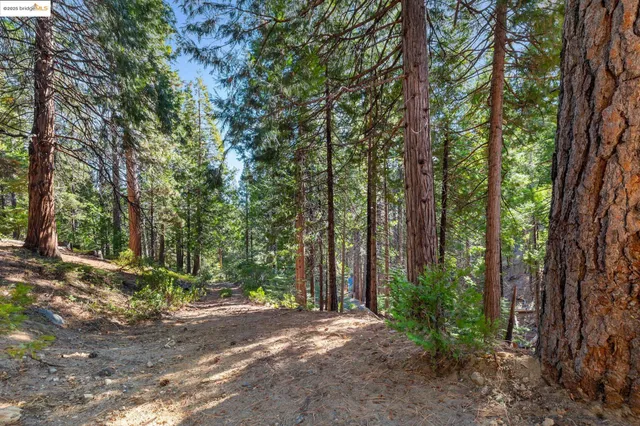 $525,000 | 26389 Siskiyou Drive, Long Barn, CA 95335