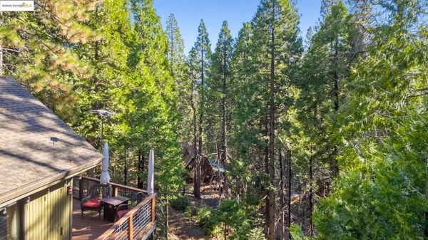 a view of a house with a lush green forest