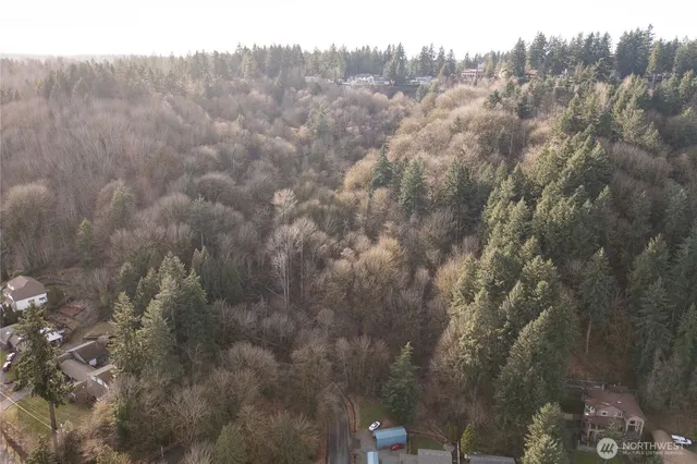 a view of a city with lush green forest