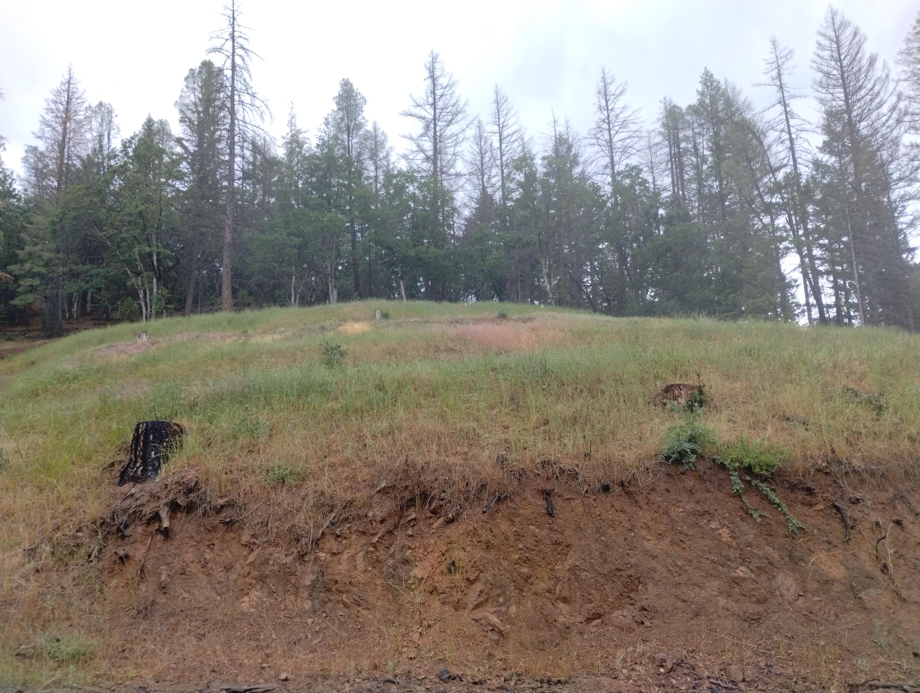 15147 Highway 3 Hayfork, CA 96041 - Photo 22 of 29 1 (97)