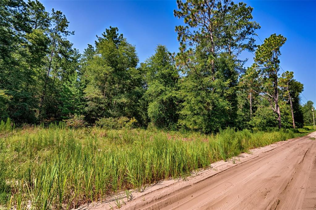 0 Northeast 83rd Lane Bronson, FL 32621 - Photo 2 of 3