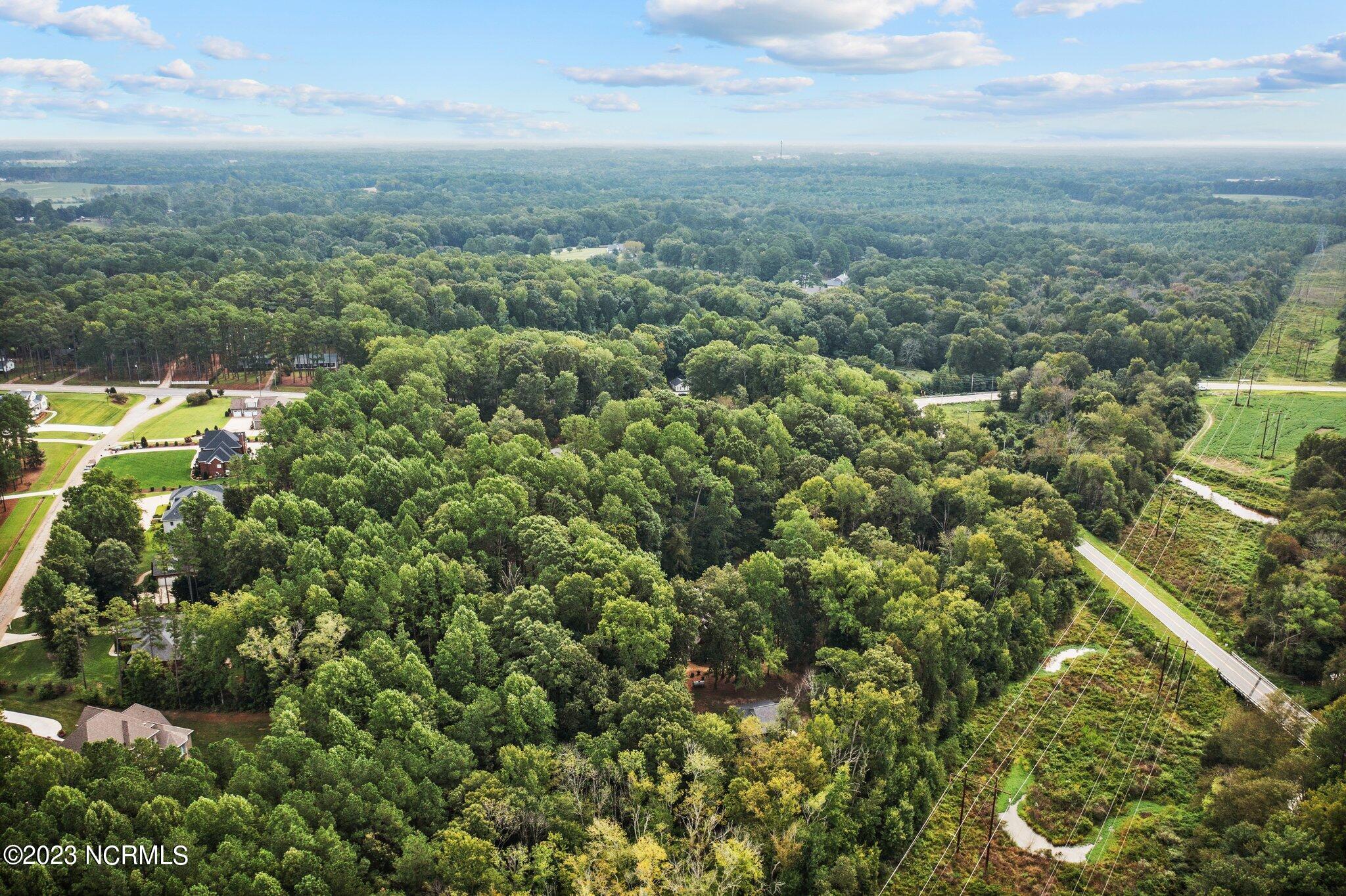 3392 Reges Store Road Rocky Mount, NC 27804 - Photo 54 of 60 54-web-or-mls-DJI_0150