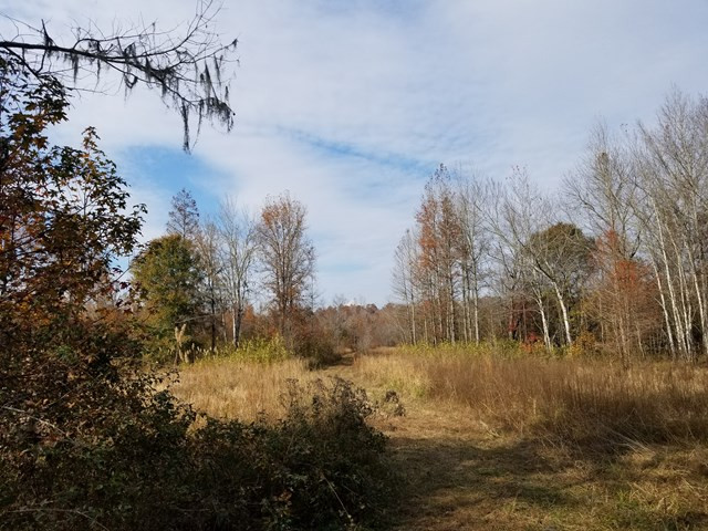 300 Brown Hill Road Jackson, SC 29831 - Photo 12 of 40