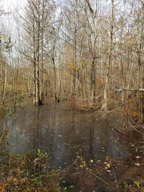 300 Brown Hill Road Jackson, SC 29831 - Photo 17 of 40