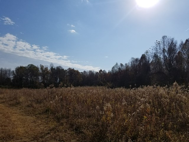 300 Brown Hill Road Jackson, SC 29831 - Photo 2 of 40