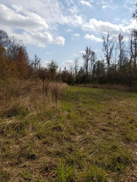 300 Brown Hill Road Jackson, SC 29831 - Photo 21 of 40