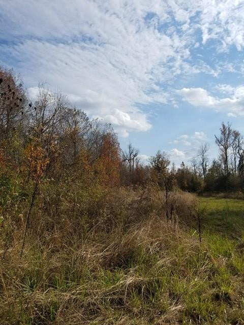 300 Brown Hill Road Jackson, SC 29831 - Photo 22 of 40