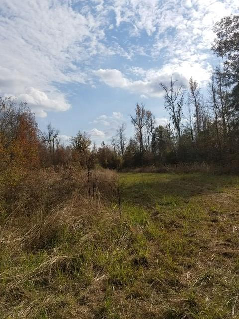 300 Brown Hill Road Jackson, SC 29831 - Photo 23 of 40