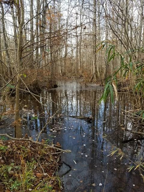 300 Brown Hill Road Jackson, SC 29831 - Photo 27 of 40