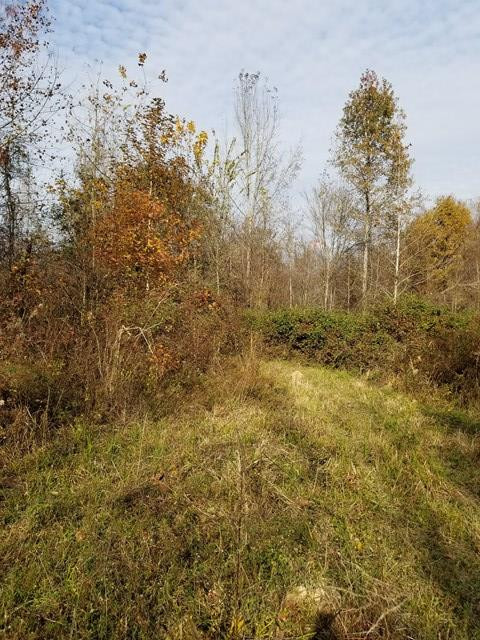 300 Brown Hill Road Jackson, SC 29831 - Photo 30 of 40