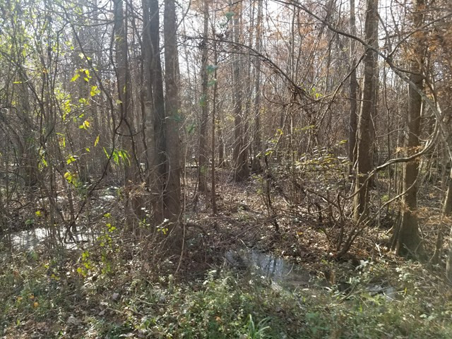 300 Brown Hill Road Jackson, SC 29831 - Photo 3 of 40