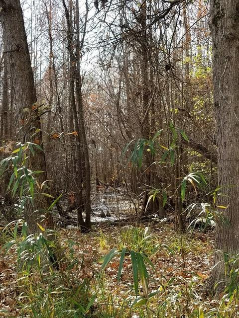 300 Brown Hill Road Jackson, SC 29831 - Photo 34 of 40