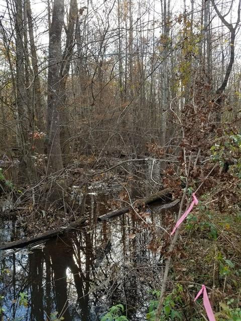 300 Brown Hill Road Jackson, SC 29831 - Photo 39 of 40