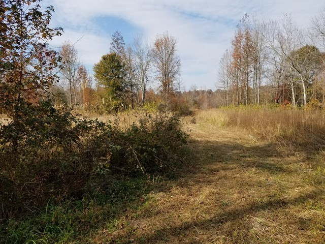 300 Brown Hill Road Jackson, SC 29831 - Photo 9 of 40