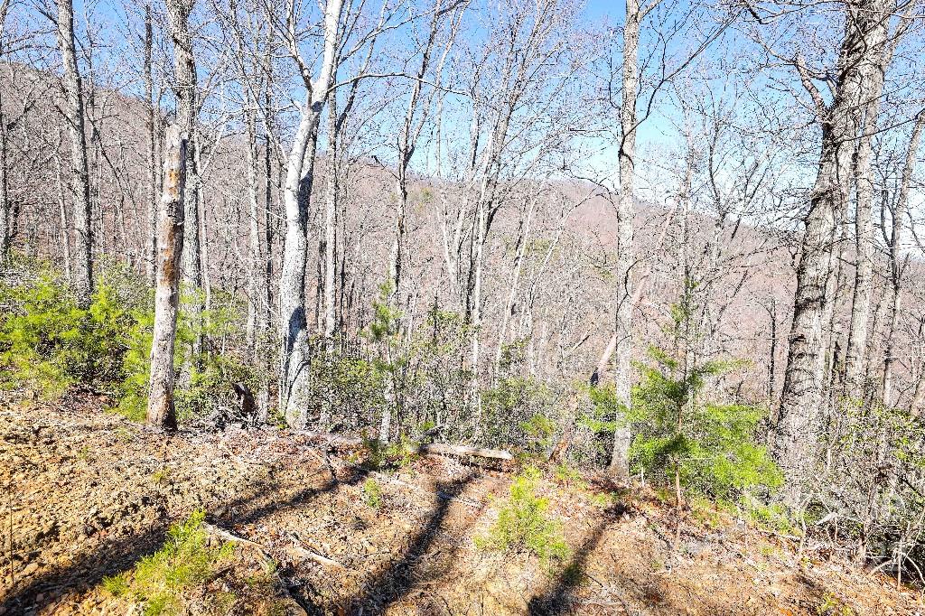 Lot #8 Judes Gap Road, Unit 8 Mill Spring, NC 28756 - Photo 14 of 45 Gallery Image 14