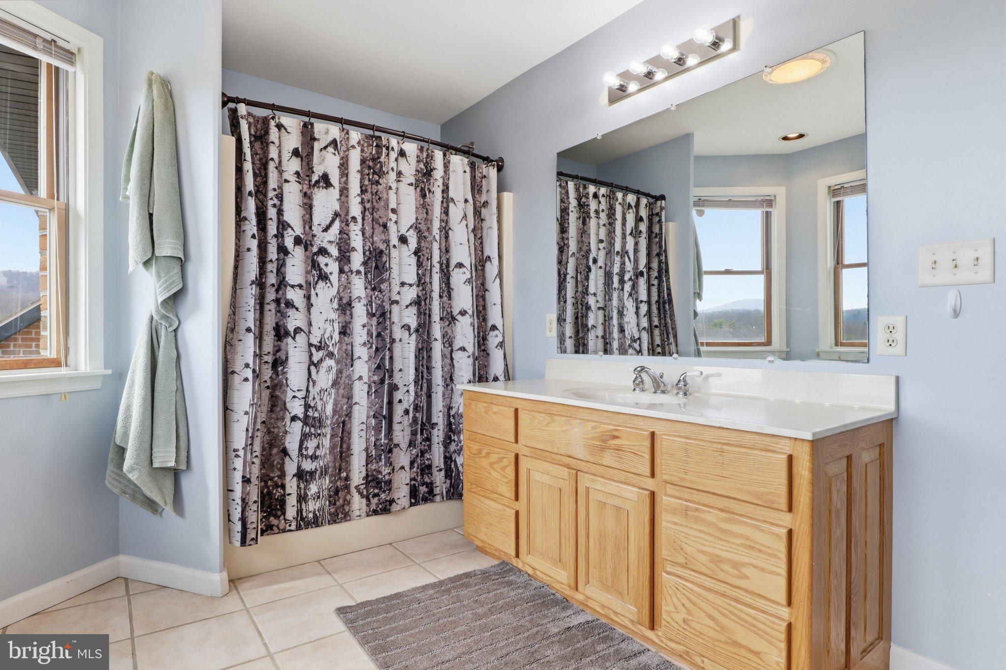 57 Mahanoy Valley Road Duncannon, PA 17020 - Photo 31 of 70 Serene bathroom with nature-inspired decor.