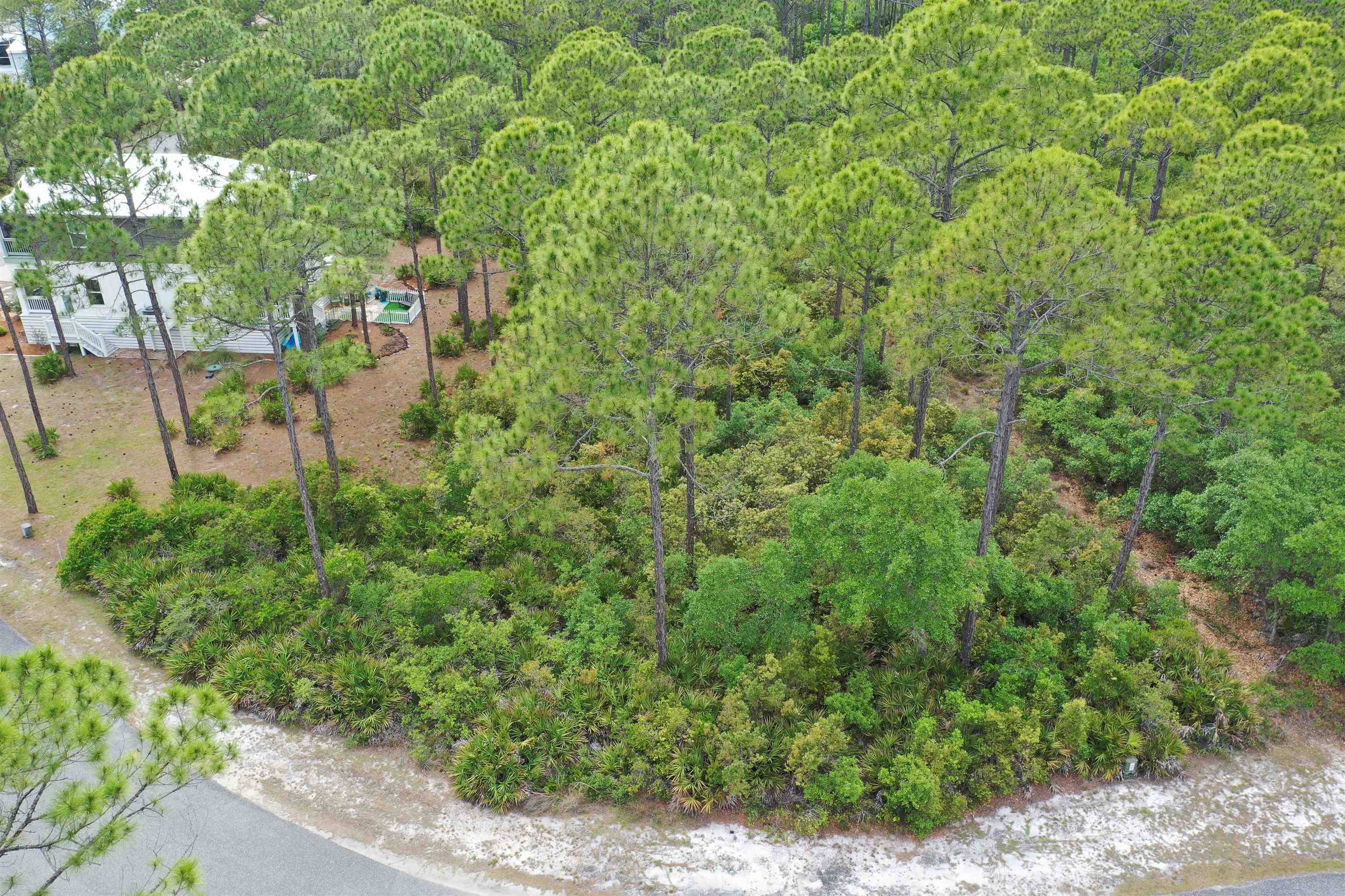 133 Fishhook Way Sopchoppy, FL 32358 - Photo 24 of 28
