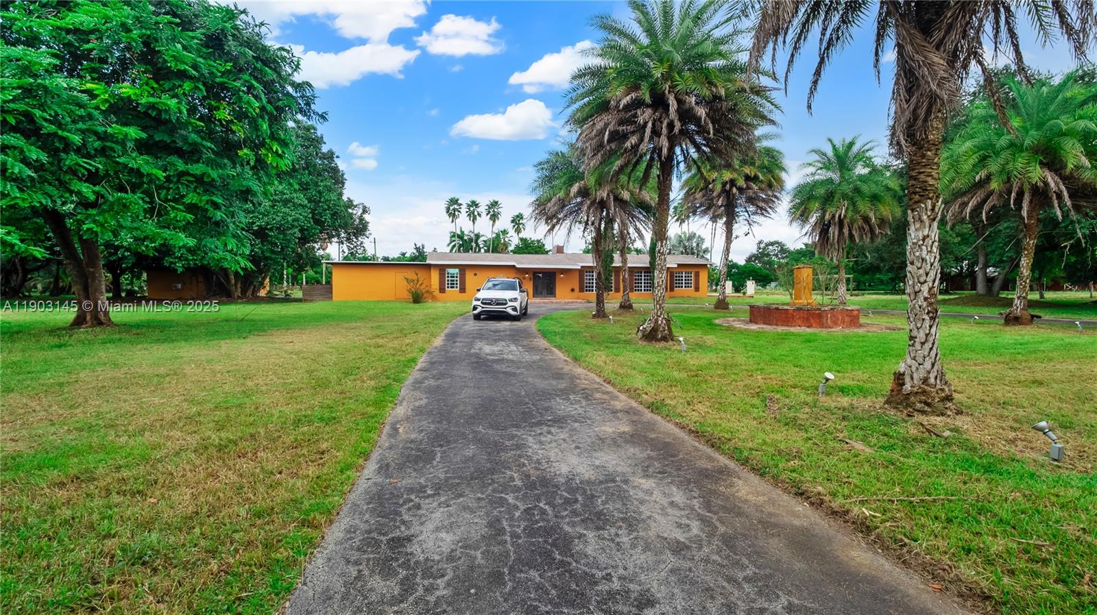 a view of a park with palm trees