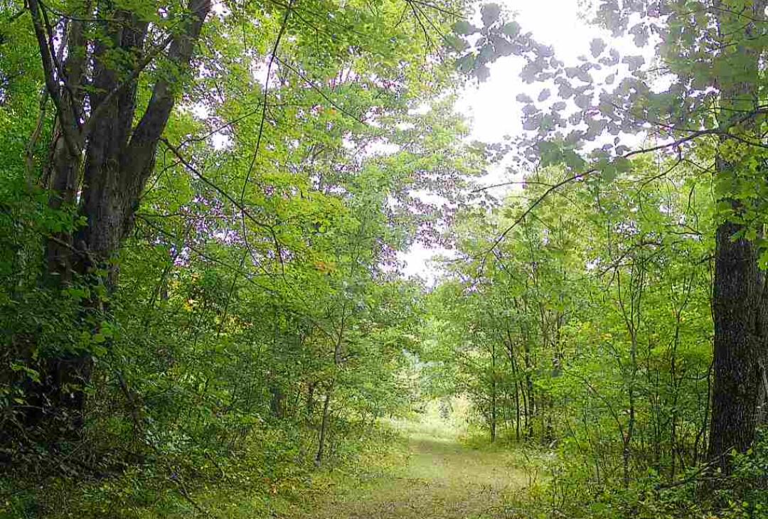 11401 Little George Lake Road Gladwin, MI 48624 - Photo 100 of 105 Screenshot_20260523-001044