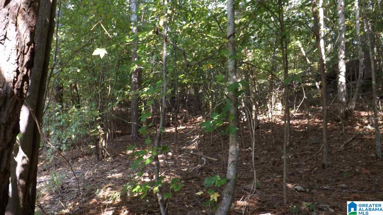 0 Quail Ridge Road, Unit 1 Oneonta, AL 35121 - Photo 11 of 18