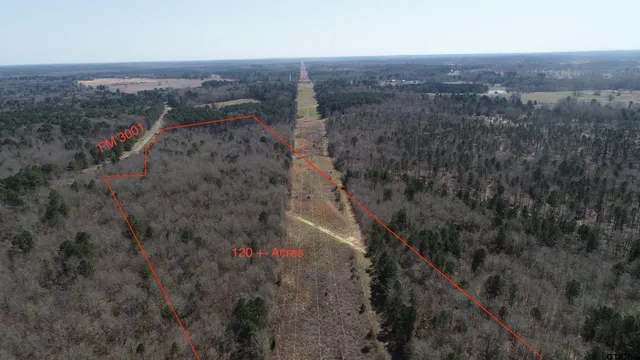 a view of a houses with a forest