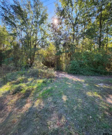 a view of yard