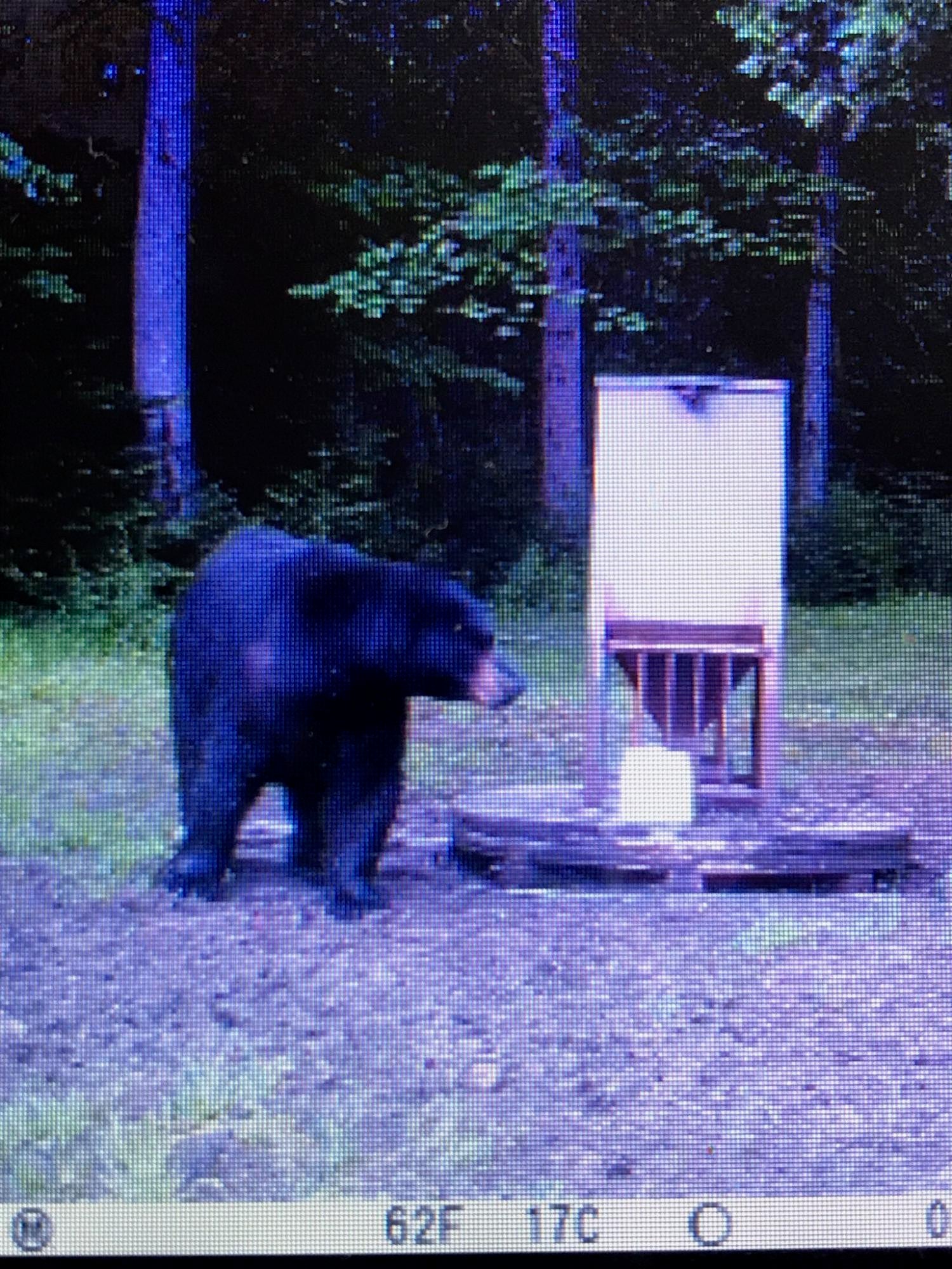 6287 West 12 Mile Road Dafter, MI 49724 - Photo 19 of 28 Gallery Image 19