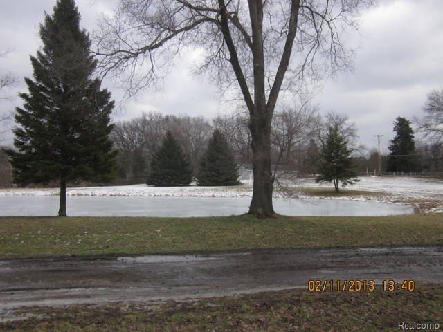 18312 Williamsville Road Gregory, MI 48137 - Photo 12 of 12 11 POND.JPG