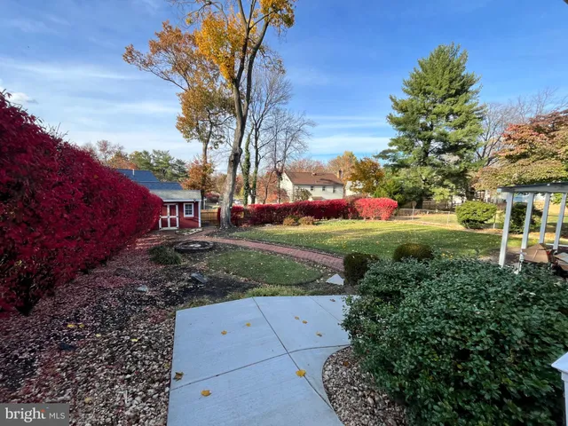 a view of yard with tree s