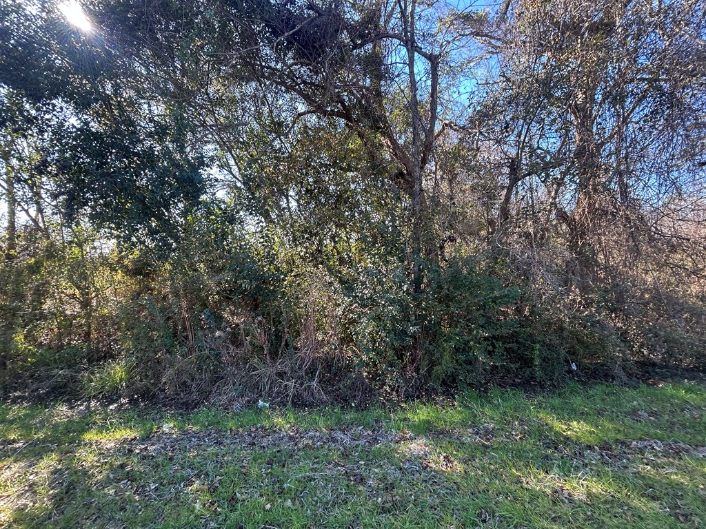 5.296-ac 5.296-ac Road Cottonwood, AL 36320 - Photo 11 of 21