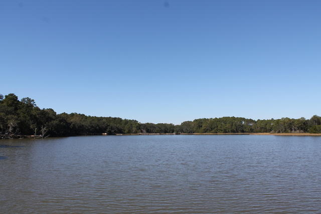 4454 Lord Proprietors Road Meggett, SC 29449 - Photo 11 of 28 IMG_9635