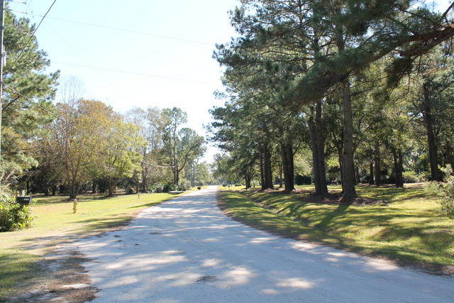 4454 Lord Proprietors Road Meggett, SC 29449 - Photo 13 of 28 IMG_9641