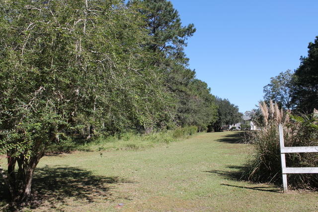 4454 Lord Proprietors Road Meggett, SC 29449 - Photo 14 of 28 IMG_9642