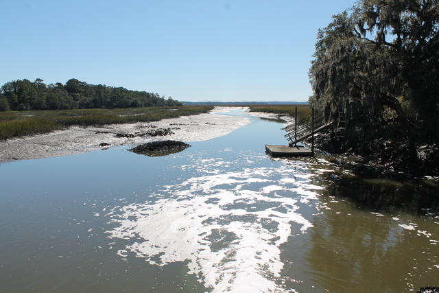 4454 Lord Proprietors Road Meggett, SC 29449 - Photo 20 of 28 IMG_9649
